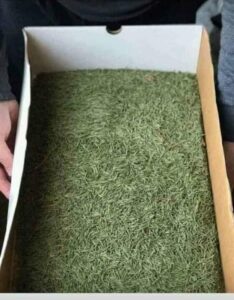 Click Christmas Tree